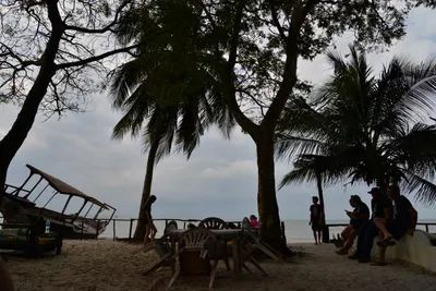 DSC_5586 (Large).JPG